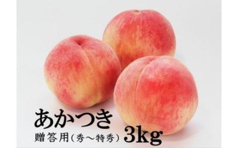 No.2040 【2023年発送分】ふくしまブランド桃 あかつき 約3kg【贈答用】