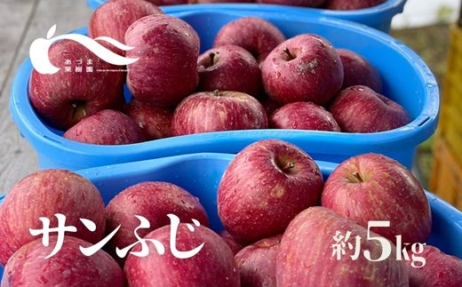 No.2332 あづま果樹園 りんご「サンふじ」約5kg【2023年度発送】