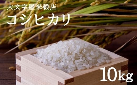 No.1949大文字屋米穀店【令和4年産新米】 コシヒカリ 10kg(5kg×2)精米