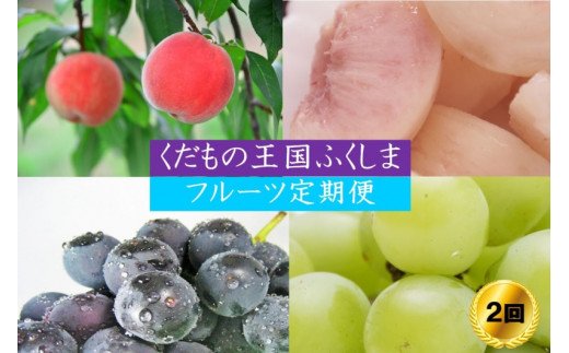 No.2034 【2023年発送分】フルーツ2種定期便 (桃約3kg、シャインマスカット&巨峰 or ピオーネ 各1房)