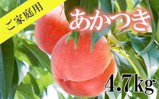 No.2346みちのく観光果樹園 もも「あかつき」ご家庭用4.7㎏【2023年発送】