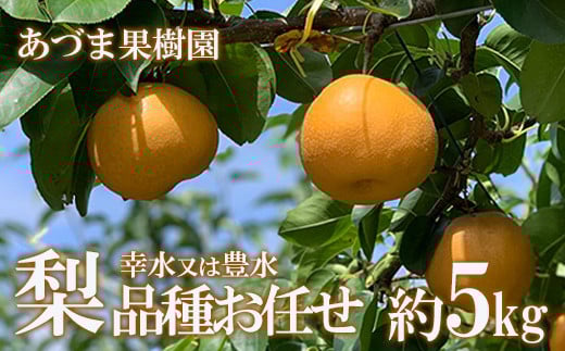No.1767あづま果樹園 梨 品種おまかせ (幸水又は豊水)約5kg【2023年発送】