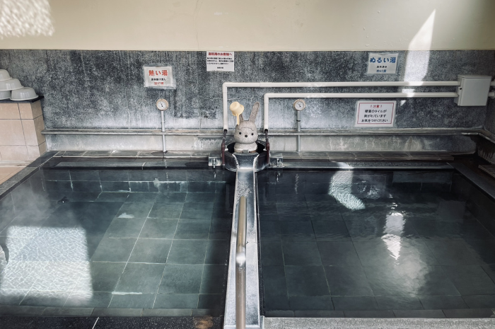 飯坂温泉共同浴場　仙気の湯　浴槽