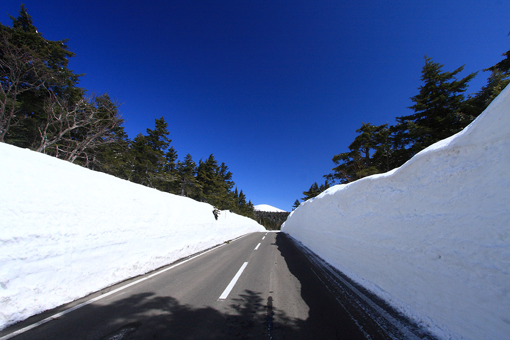 雪の回廊