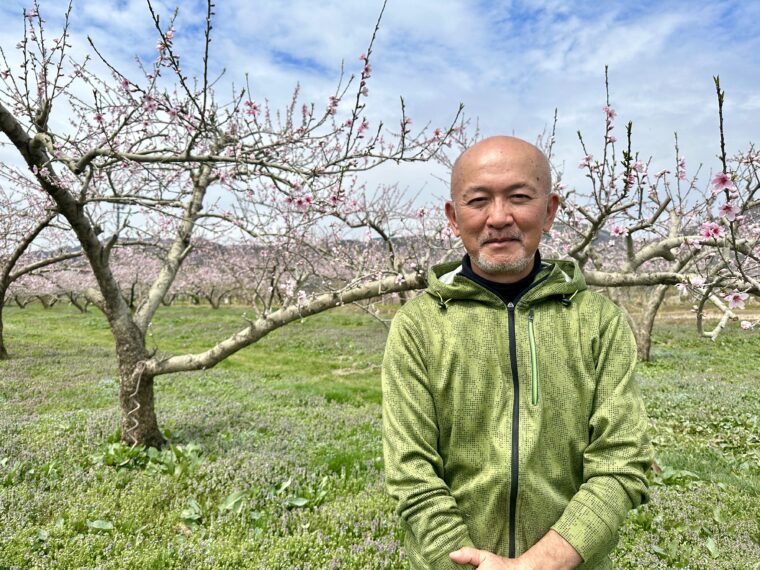 果樹農家の1年を追え vol.2｜春先の重要作業「桃の摘蕾・摘花」