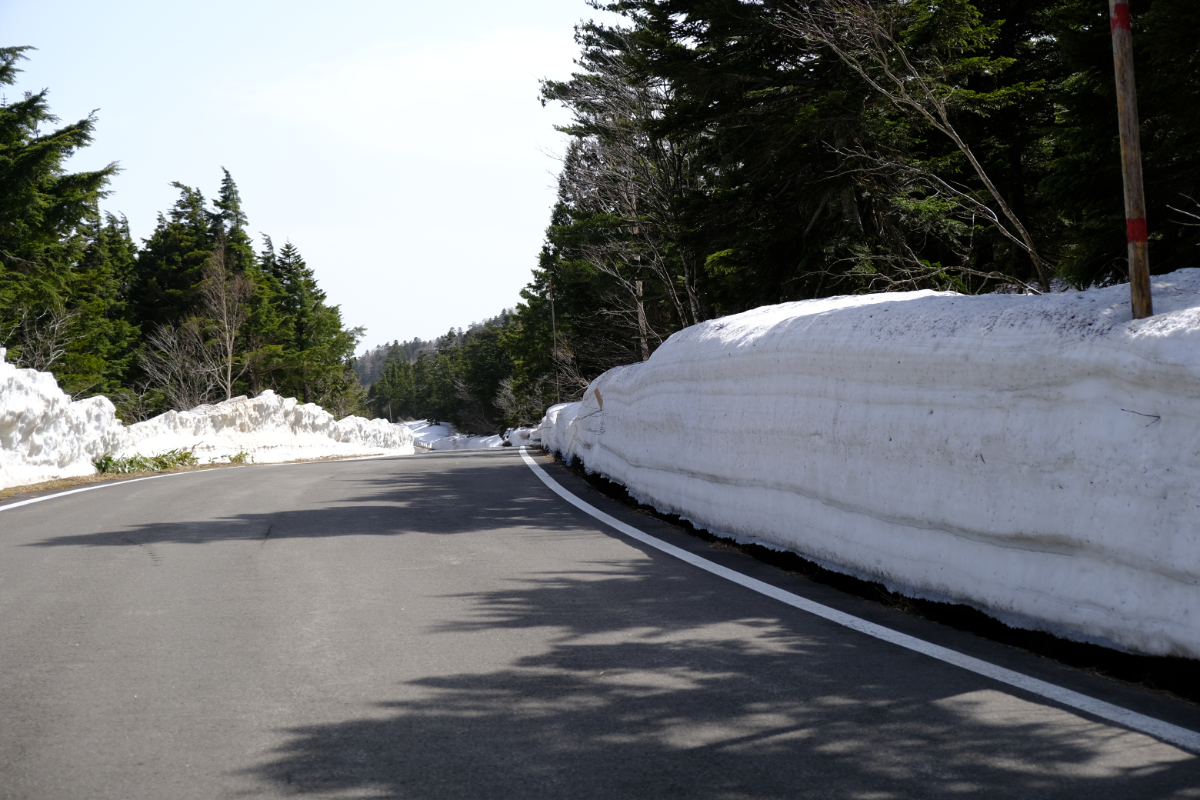 雪の回廊(2023年)