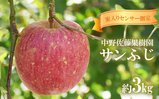 No.1471【先行予約】中野/佐藤果樹園 蜜入りりんご「サンふじ」約3kg【2023年度発送】