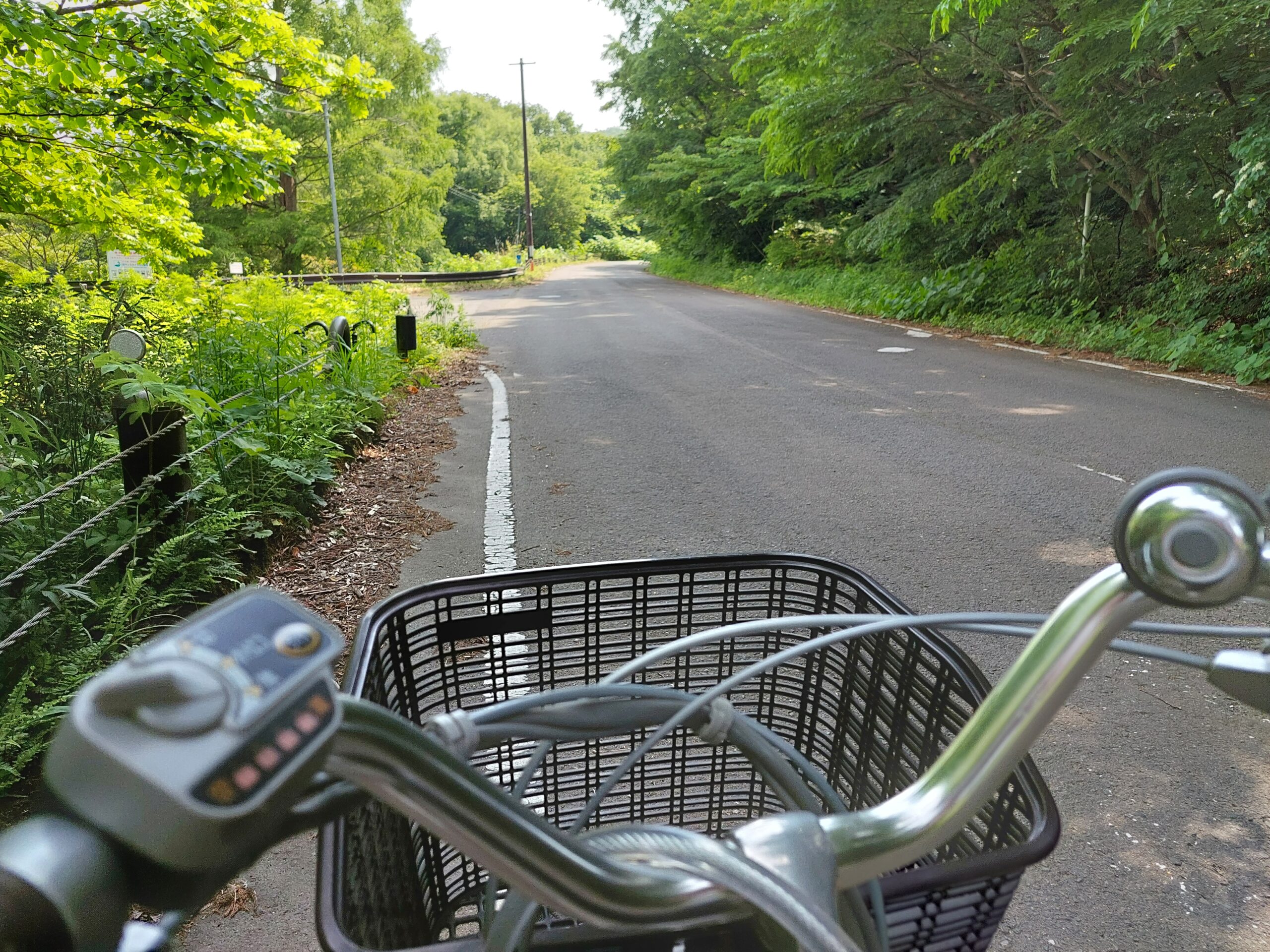 レンタサイクルで走る坂道