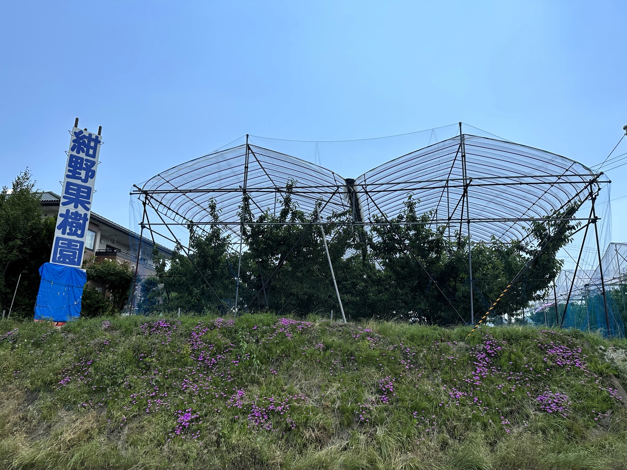 やまこう紺野果樹園