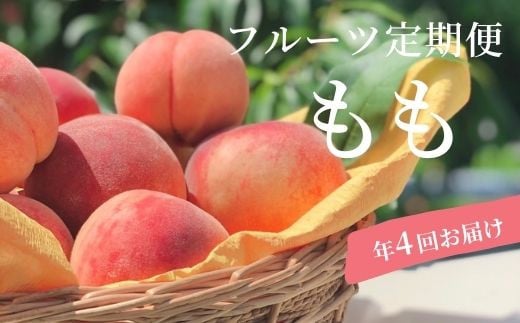 No.1624【先行予約】株式会社円和 青果部 もも4種定期便 あかつき/川中島白桃/黄貴妃＆ゆうぞら/さくら白桃 各約2kg【2023年発送】