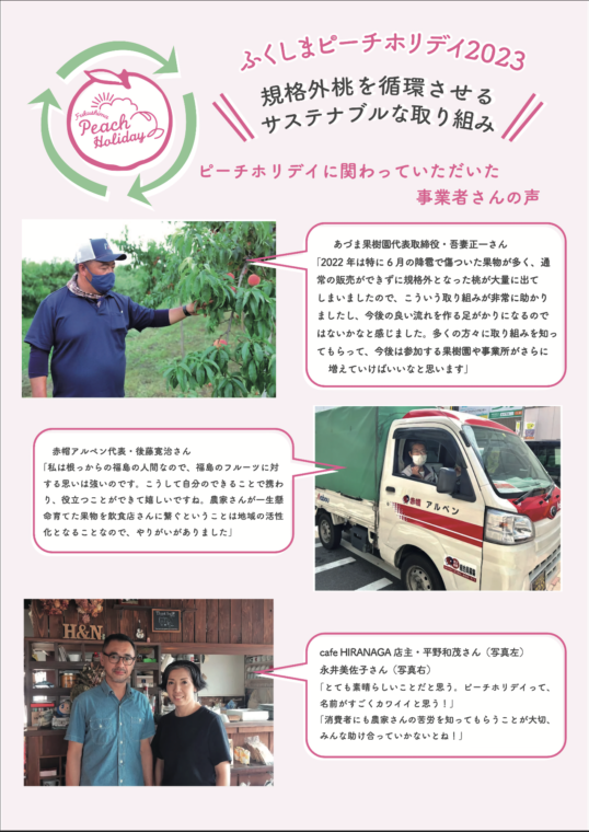 ピーチホリデイパネル2