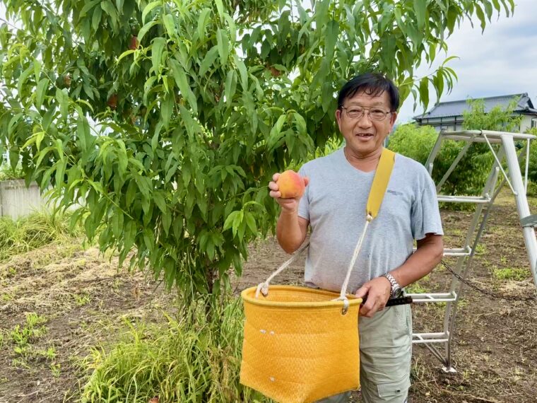果樹農家の1年を追えvol.4｜収穫の喜びと厳しさから考える、持続可能な農業の実現