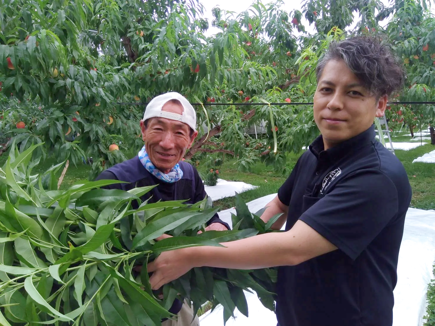 園主の紺野さんから、剪定した枝葉を受け取る佐藤支配人