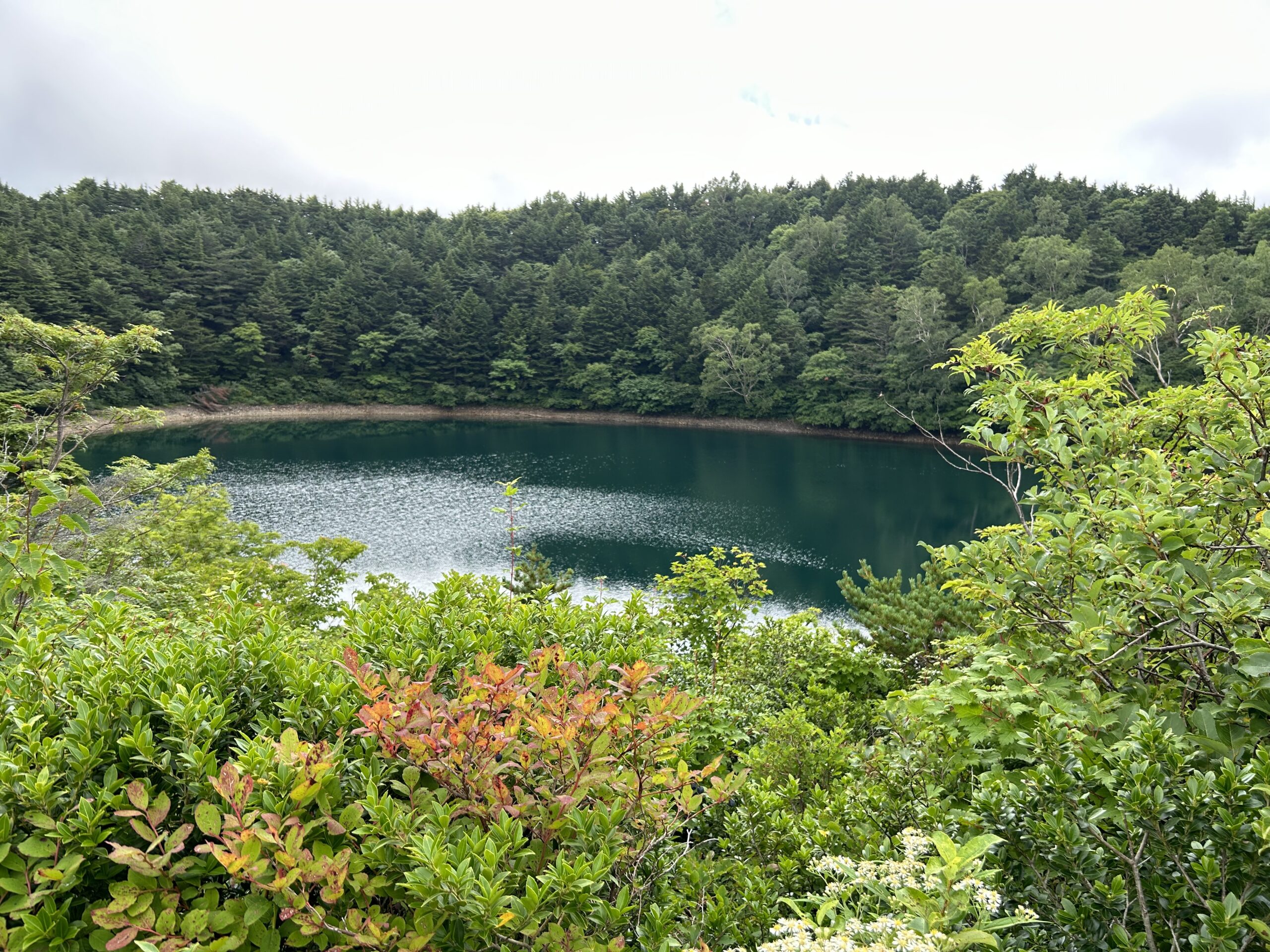 深青の水をたたえた樋沼