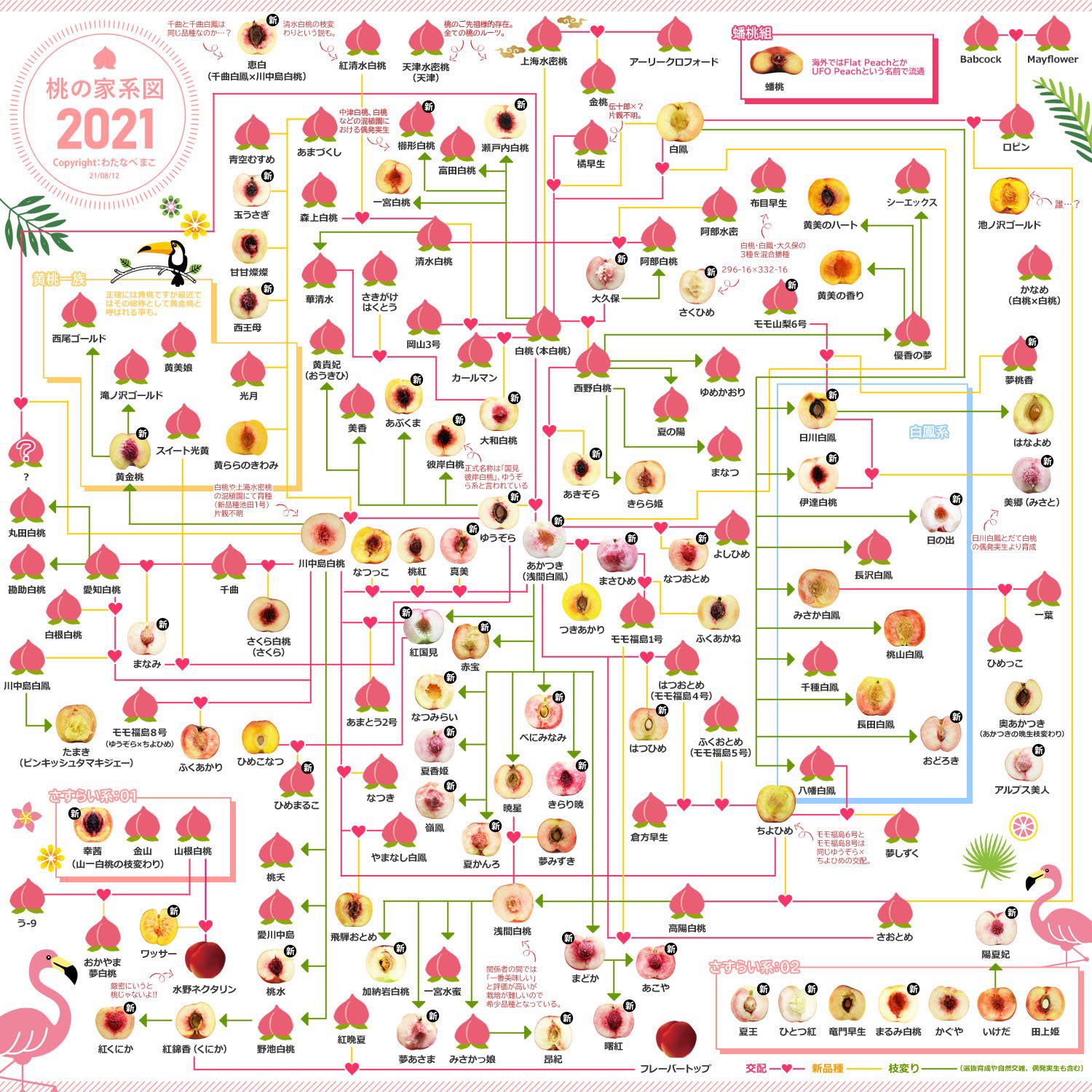 桃の家系図2021