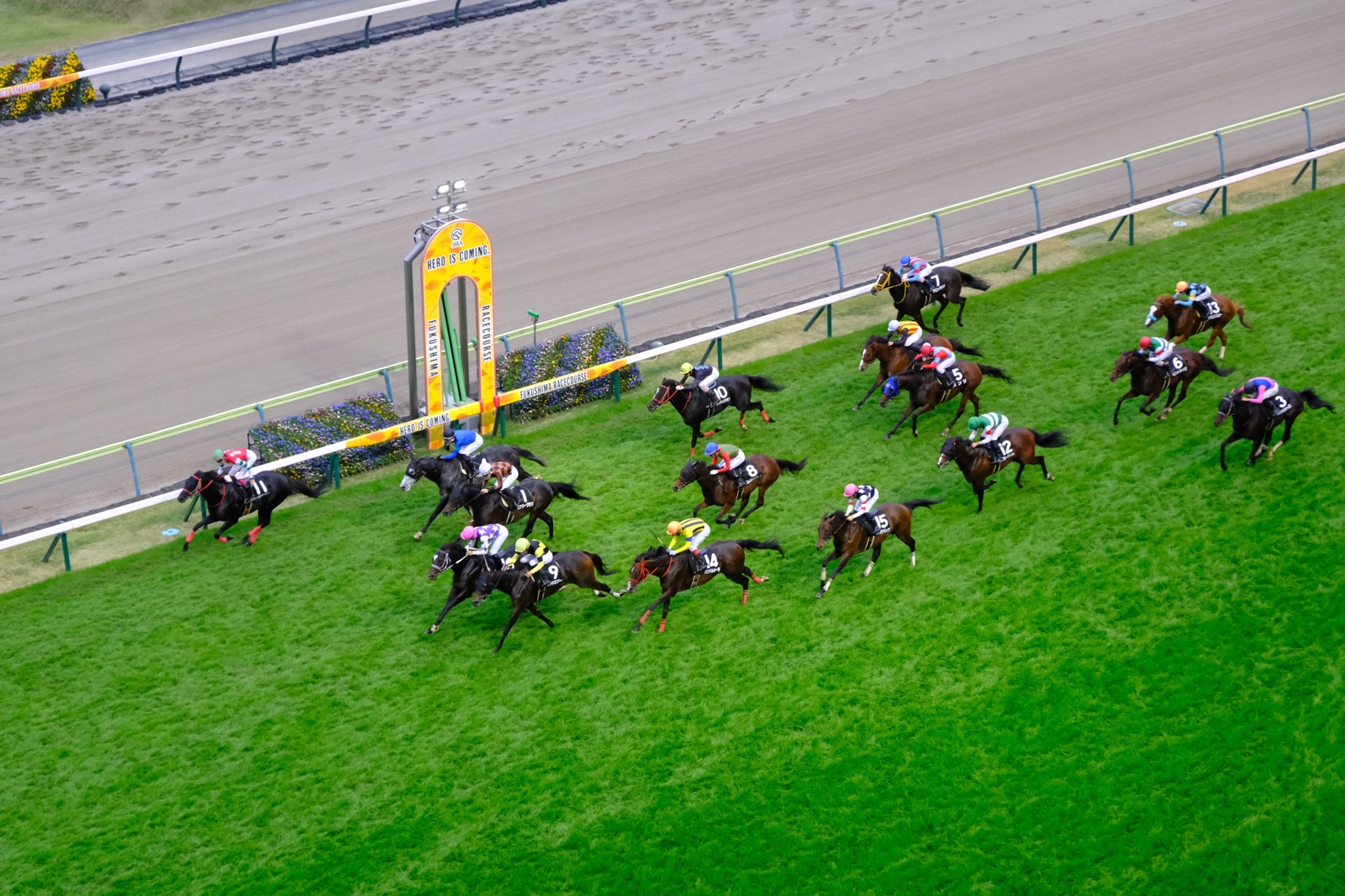 JRA 日本中央競馬会 見にくく 福島競馬場限定 ウェルカム