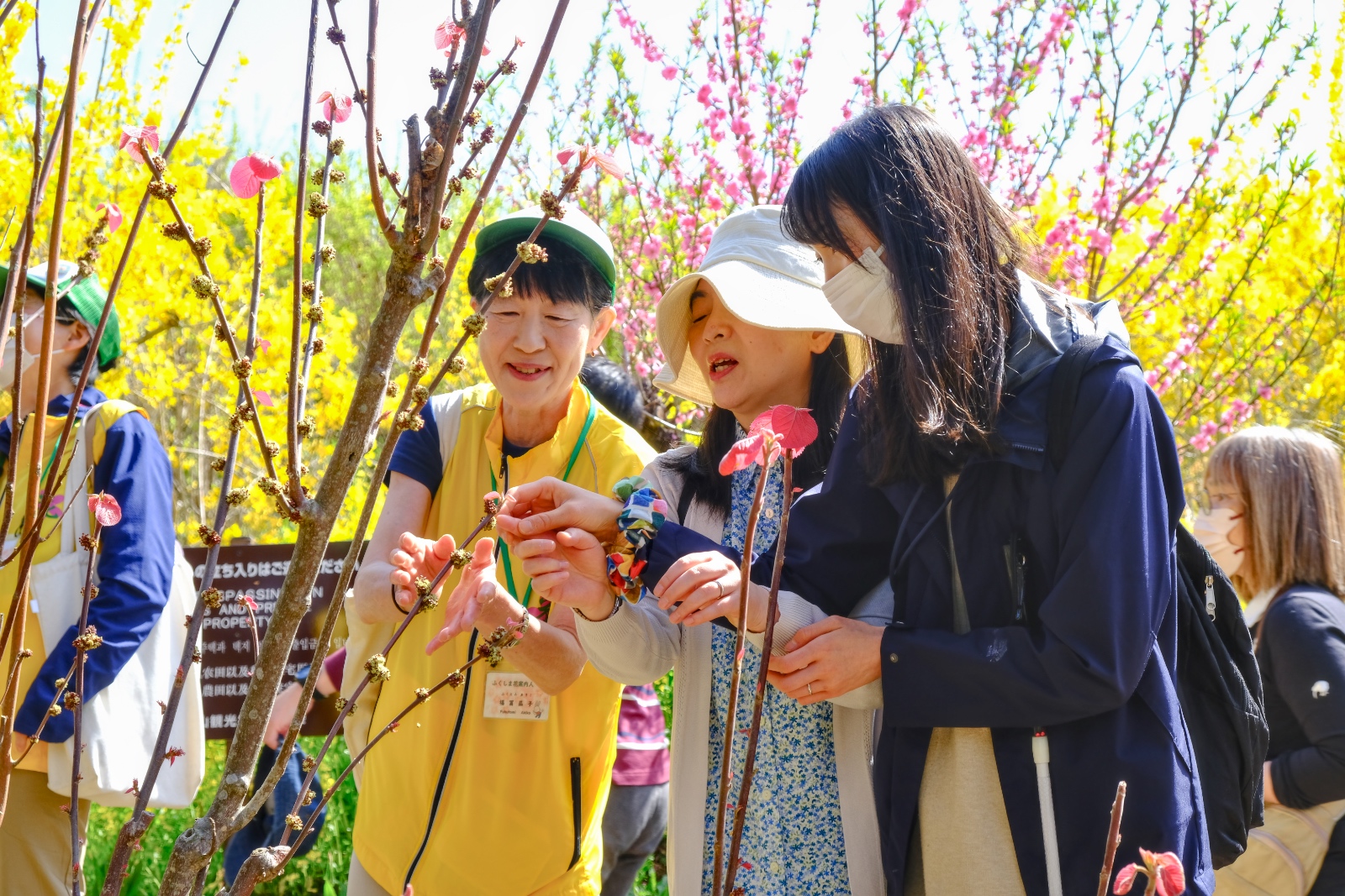 赤い葉が美しいオオバベニガシワの花に触れてみる参加者