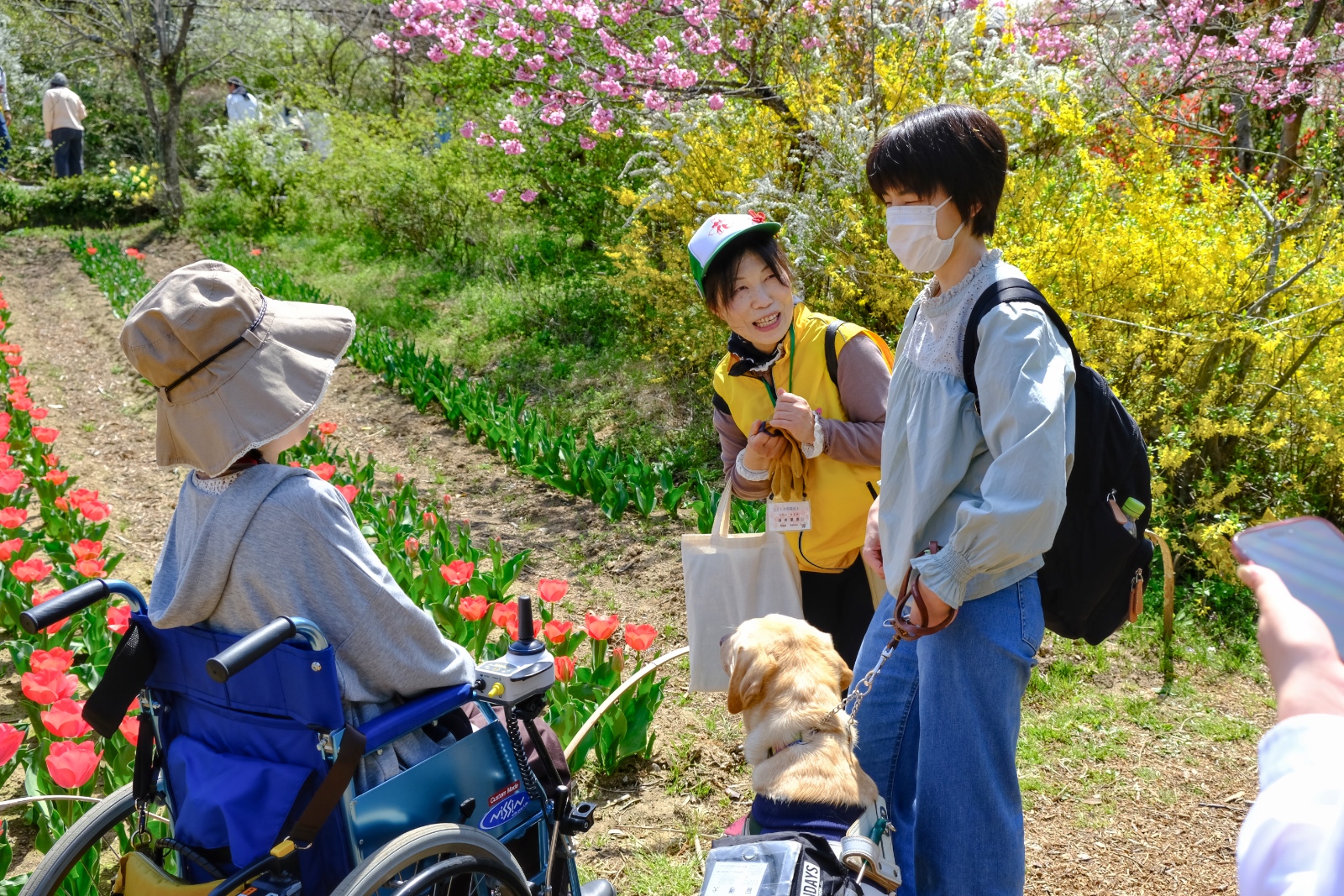 レンギョウやチューリップの前で談笑する鈴木祐花さん（右）と、花案内人の酒井里美さん（中）、福島市バリアフリーツアーセンターの佐藤由香利さん（左）