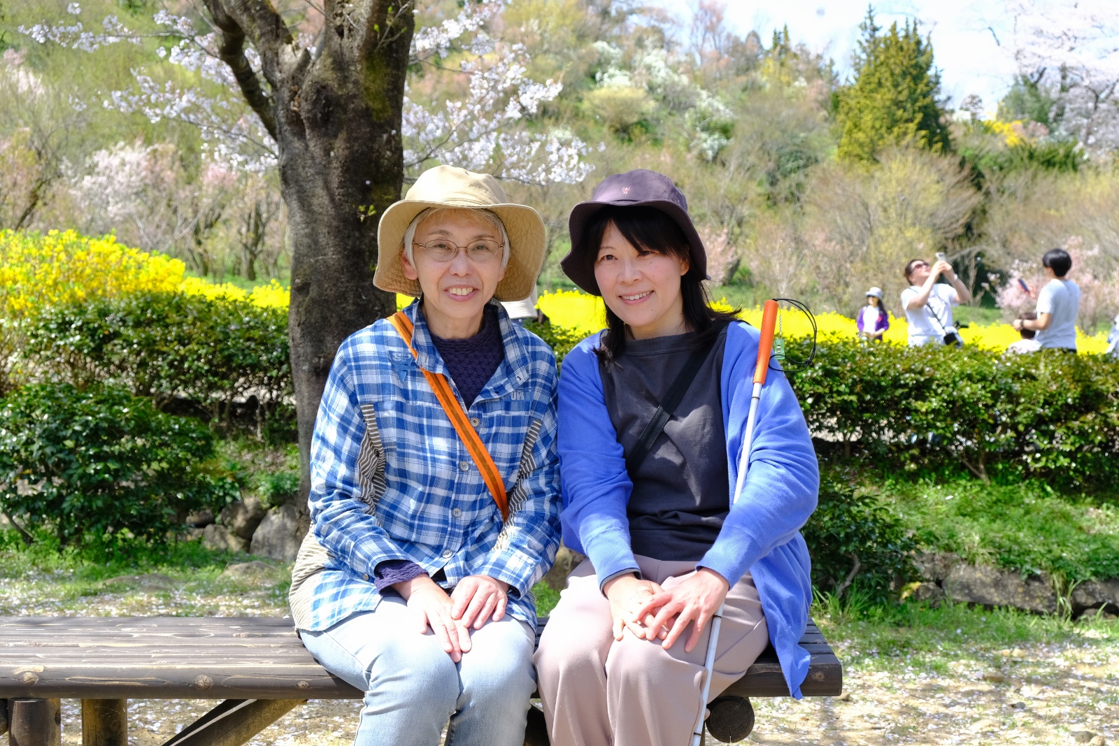 桜と菜の花を背景に、ベンチに座る菅野典子さん（右）と本多達子さん（左）