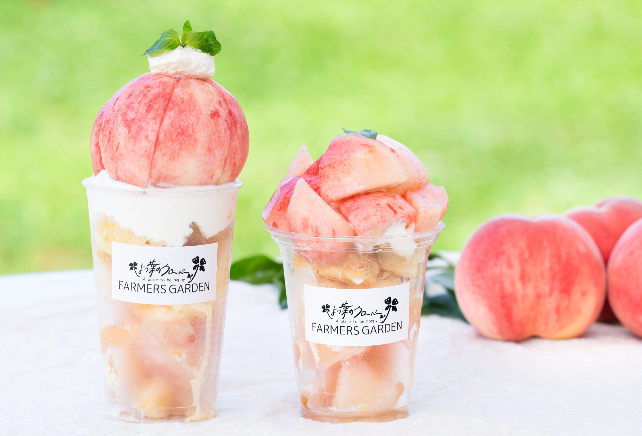 ピーチホリデイ2024食レポ Vol.3】「贅沢！ 朝採りまるごと桃パフェ