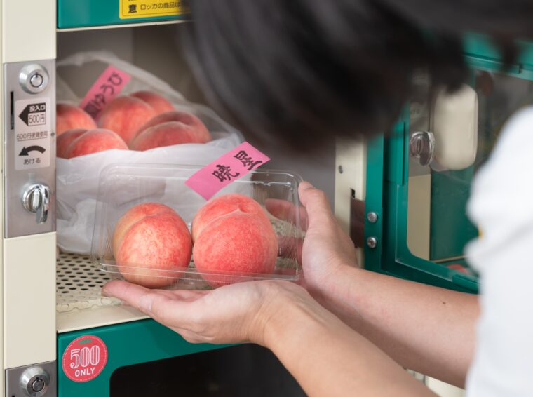 れぎゅーむれぎゅーむの自動で購入する様子