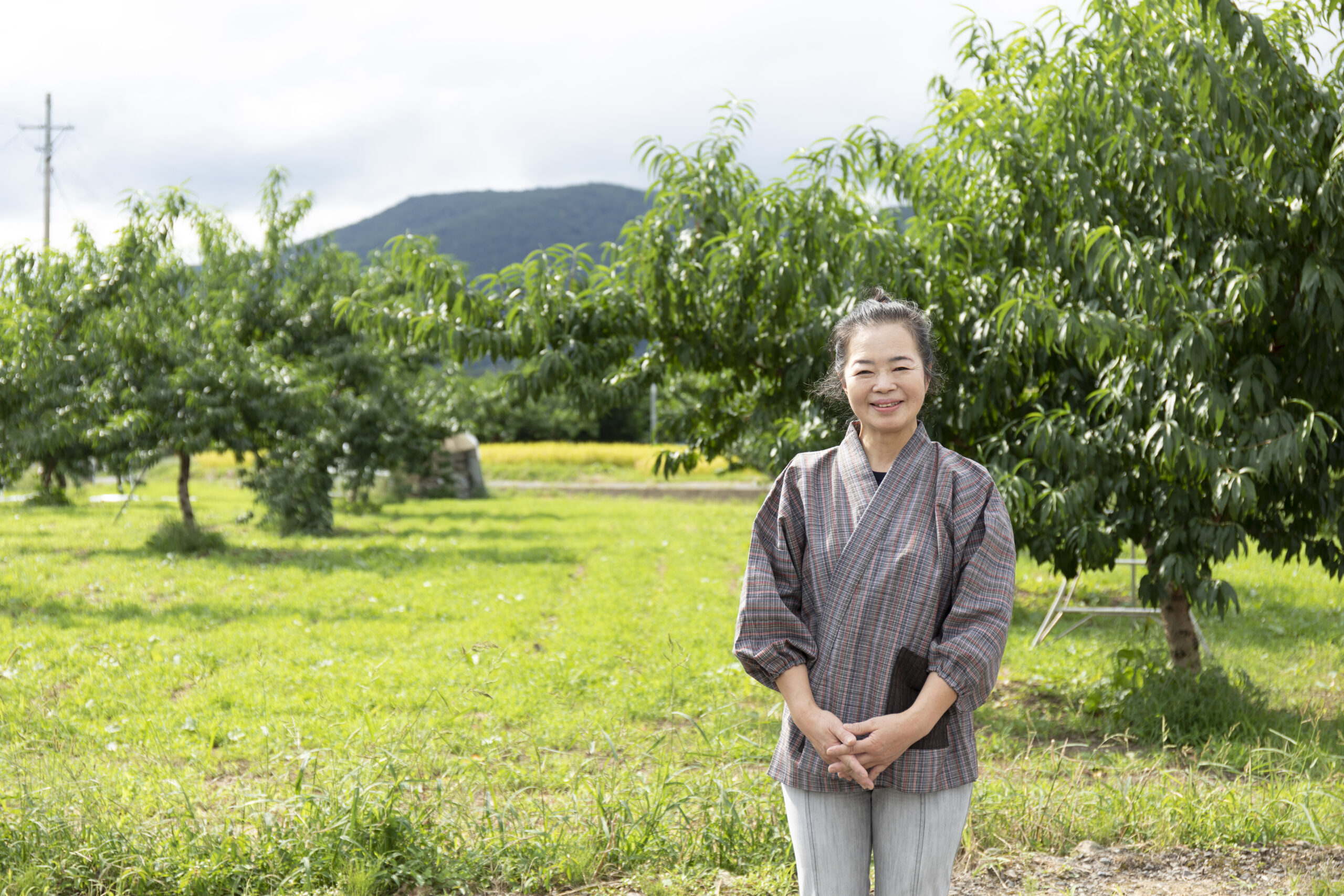 日常に寄り添うデザインを」大堀相馬焼 窯主・近藤京子さん（ふるさと