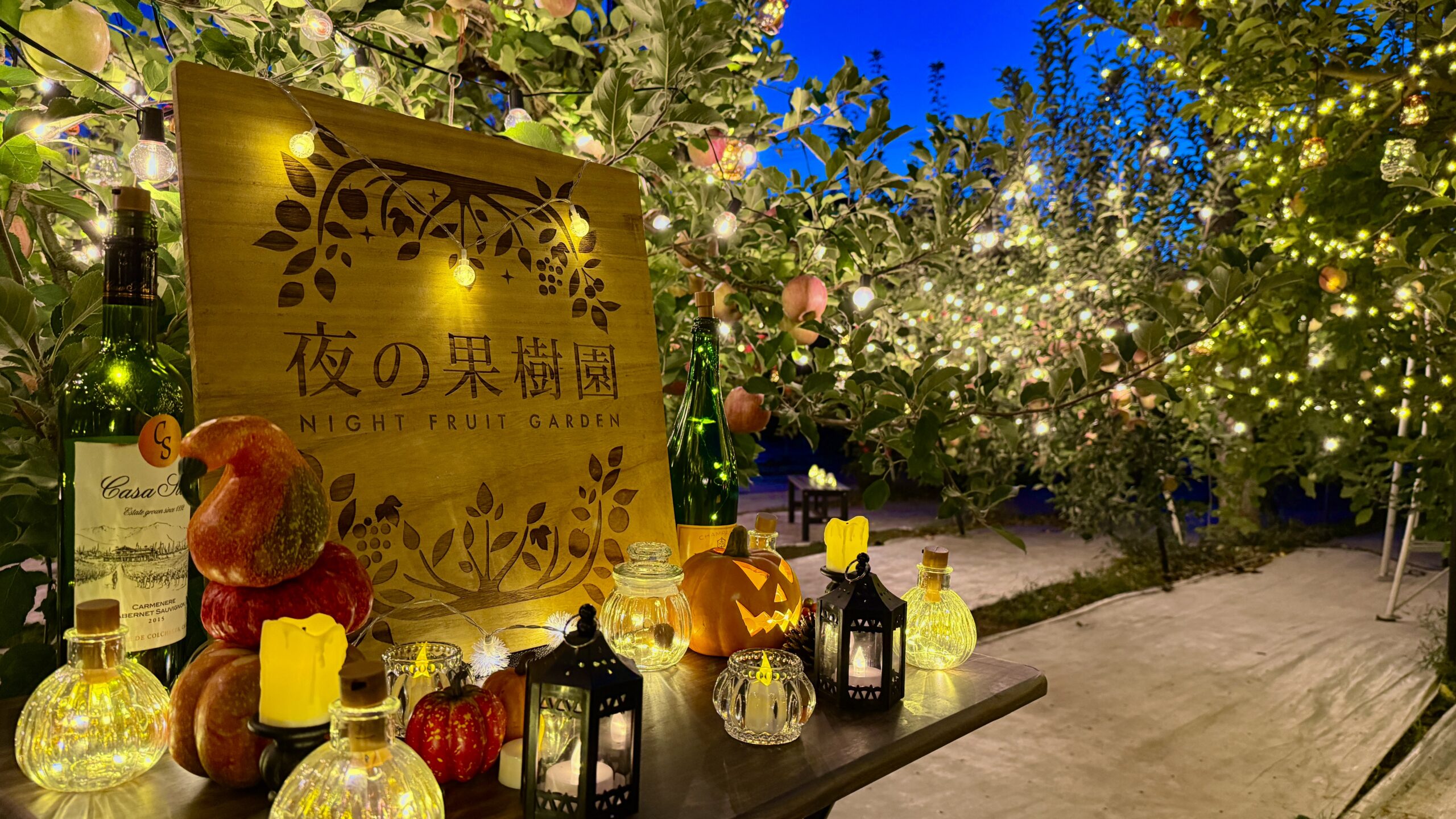果樹園　秋 夜の果樹園2024』 10/25〜27の3日間限定の幻想世界が福島に出現（旬の