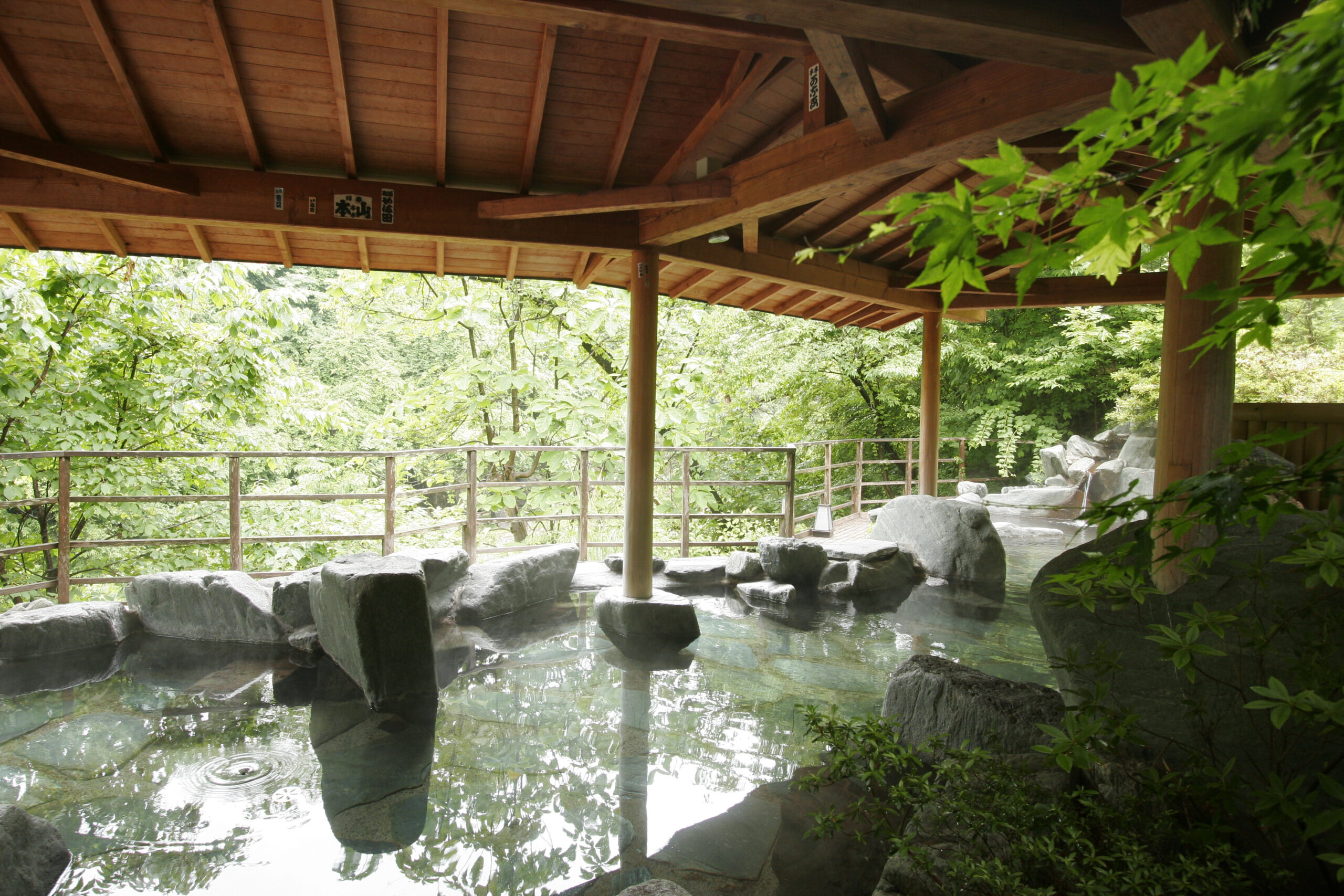 深緑の季節の露天「さるあみの湯」