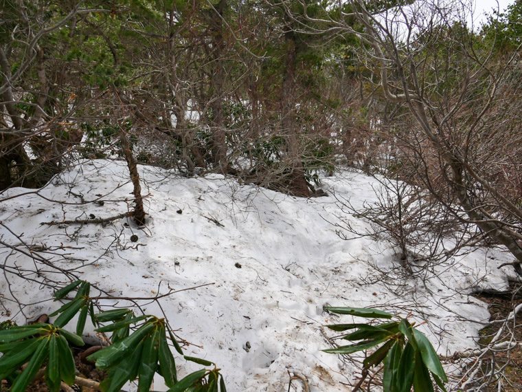 浄土平スカイアクセス