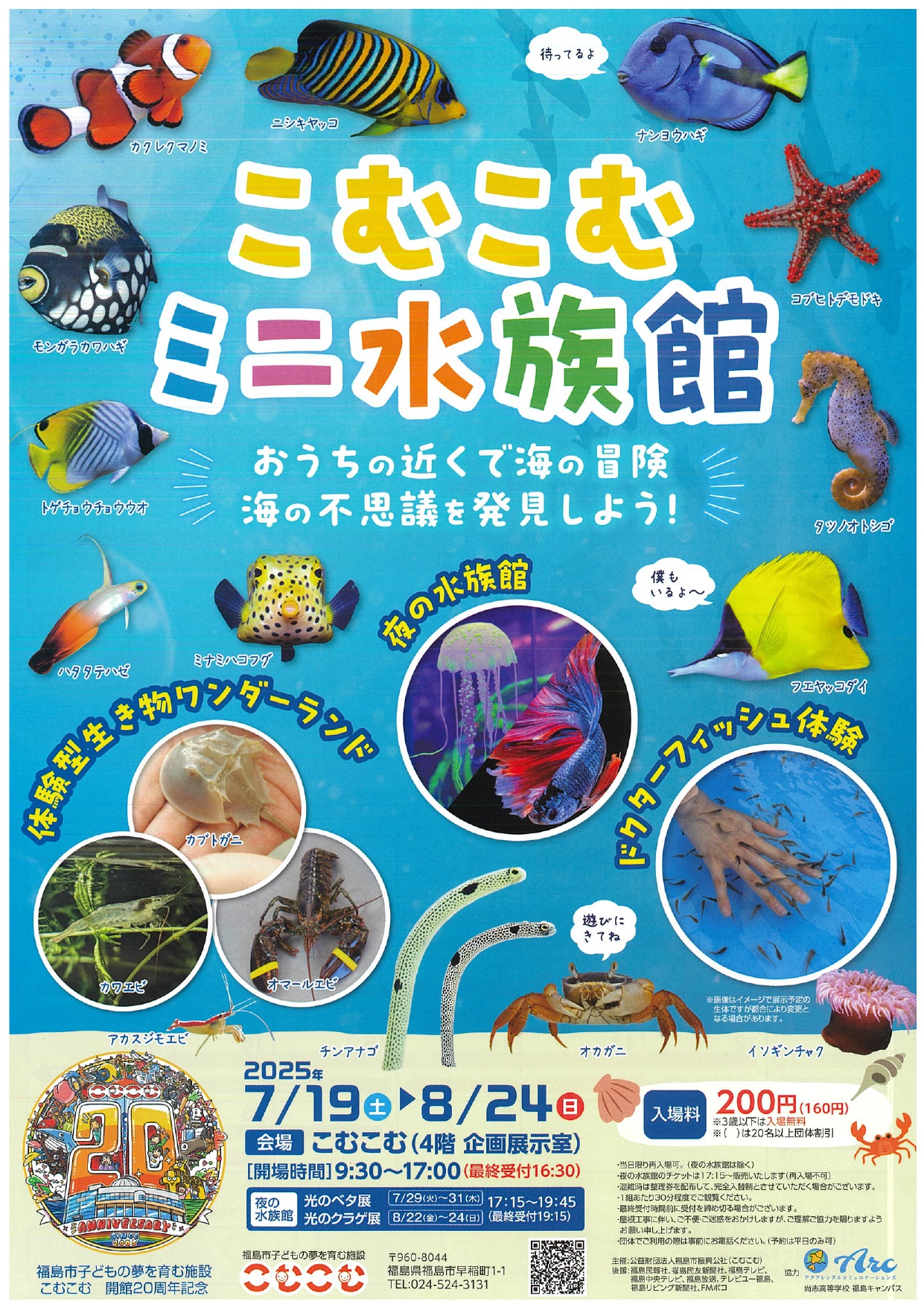こむこむミニ水族館(イベント) | 福島市観光ノート