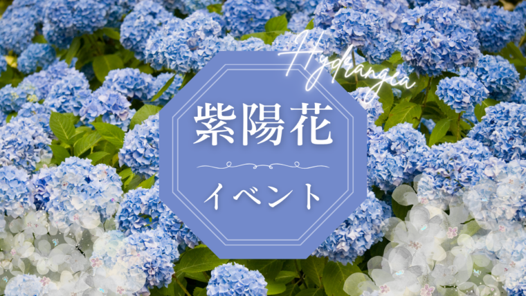 紫陽花イベント情報
