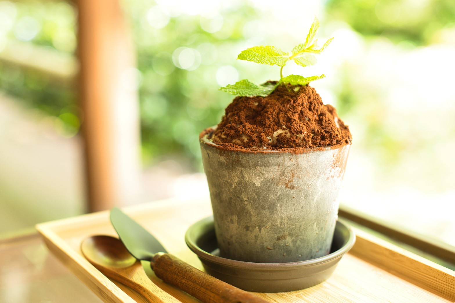 植木鉢かき氷~ミルクココア味~(1,100円)