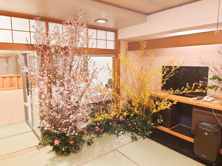 松島屋桃香