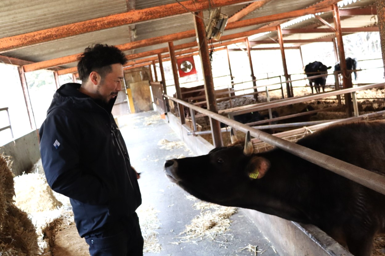 エム牧場の吉田社長と牛