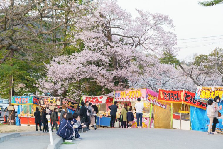 信夫山公園の桜