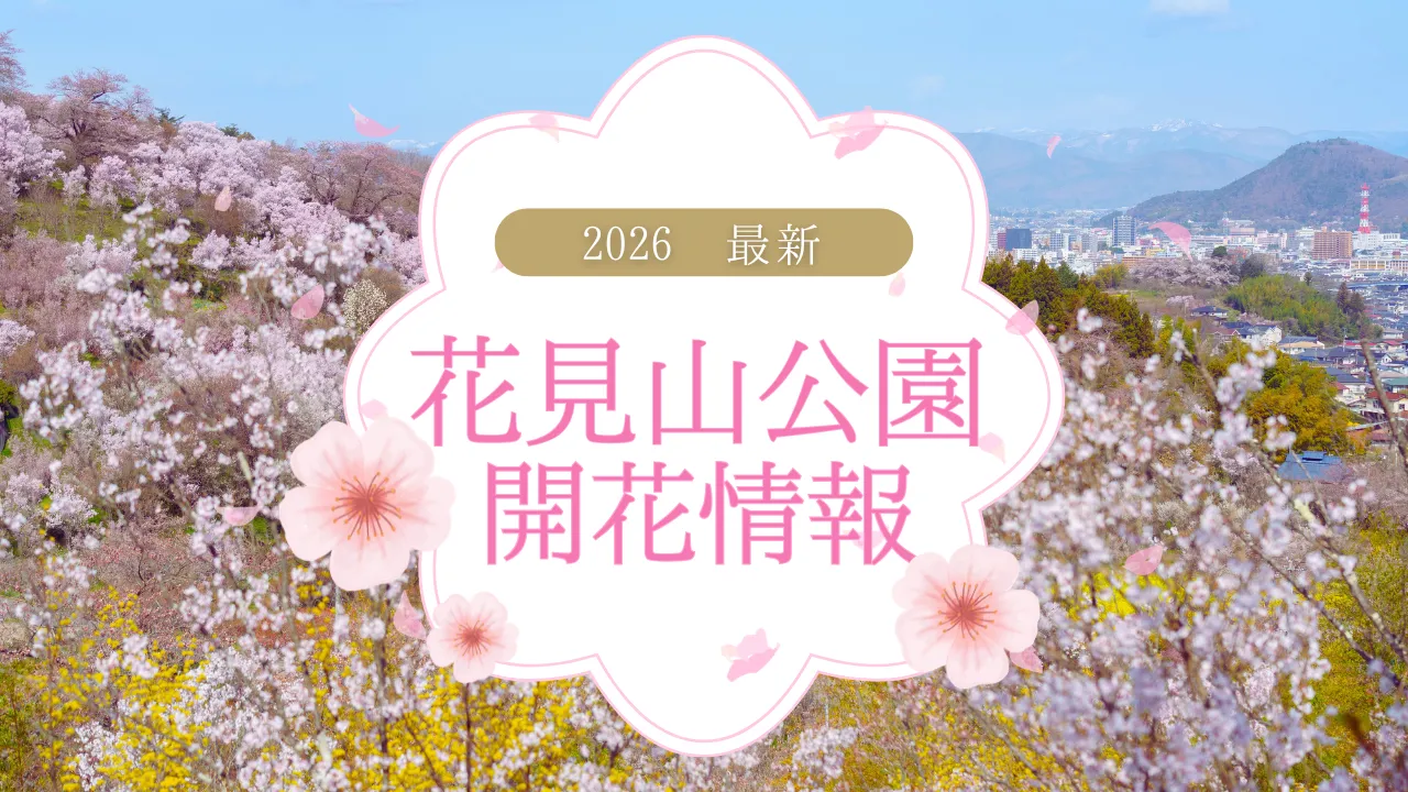 【2026年】花見山公園開花情報（3/24更新）