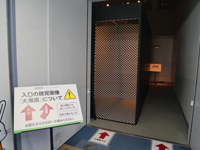 「杉原厚吉の錯覚展〜変身する生き物たち〜」