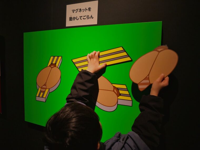 「杉原厚吉の錯覚展〜変身する生き物たち〜」