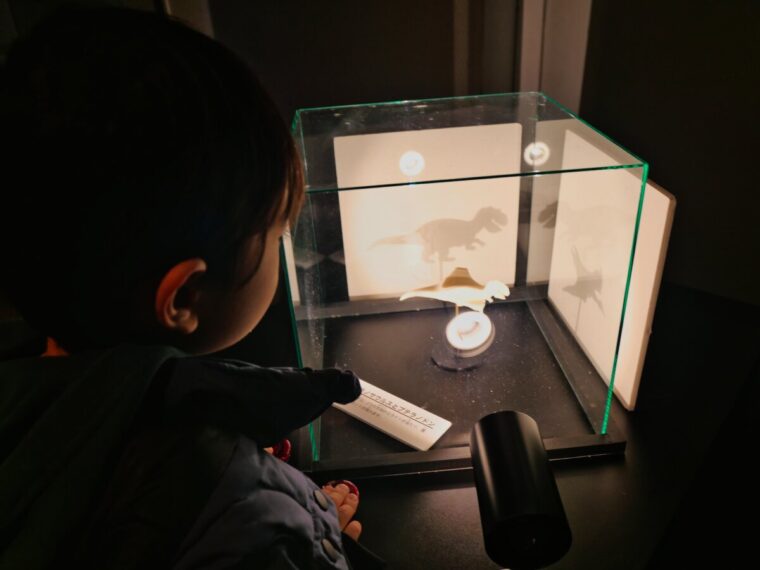 「杉原厚吉の錯覚展〜変身する生き物たち〜」