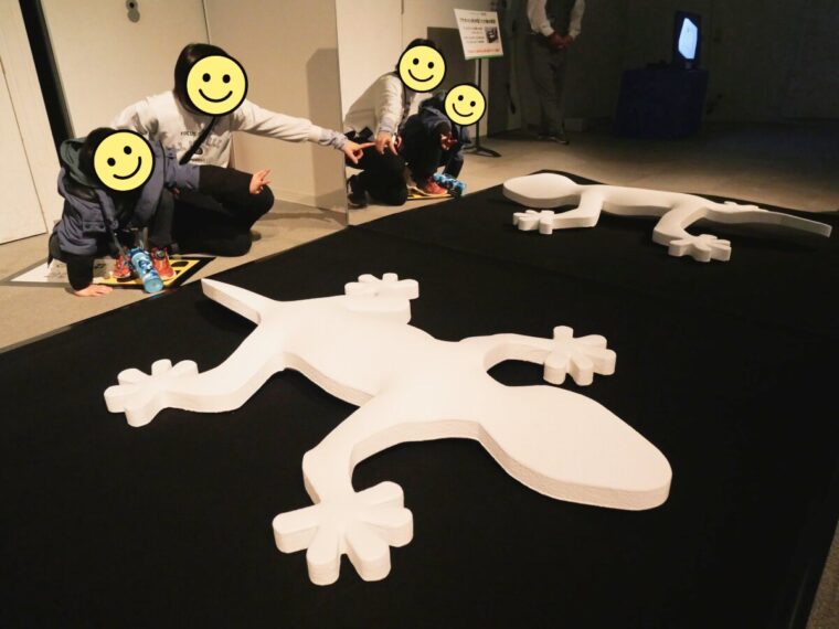 「杉原厚吉の錯覚展〜変身する生き物たち〜」