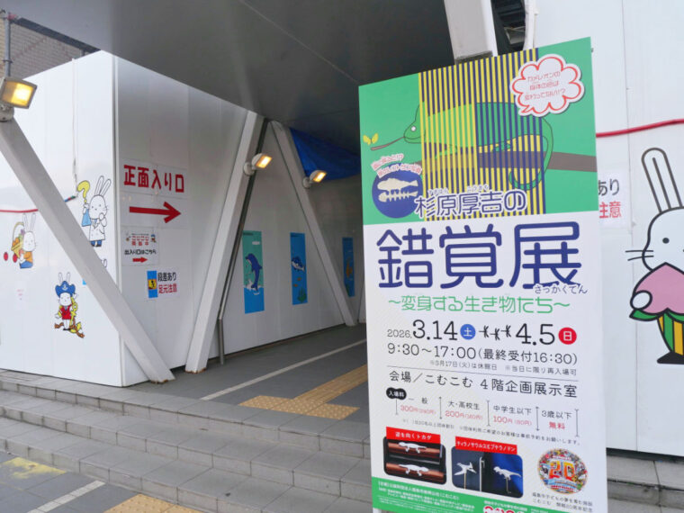 「杉原厚吉の錯覚展〜変身する生き物たち〜」