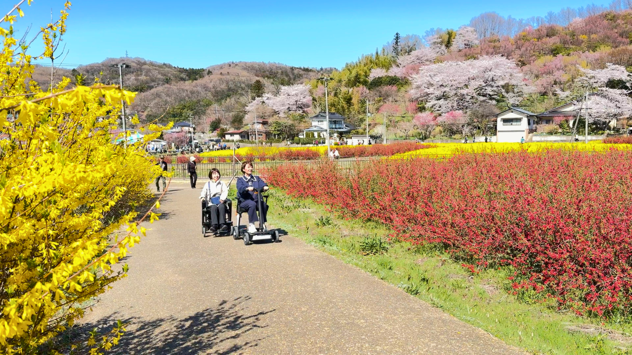 話題の乗り物「WHILL（ウィル）」で行く、春の花見山観光！ 無理なく楽しむためのルート解説