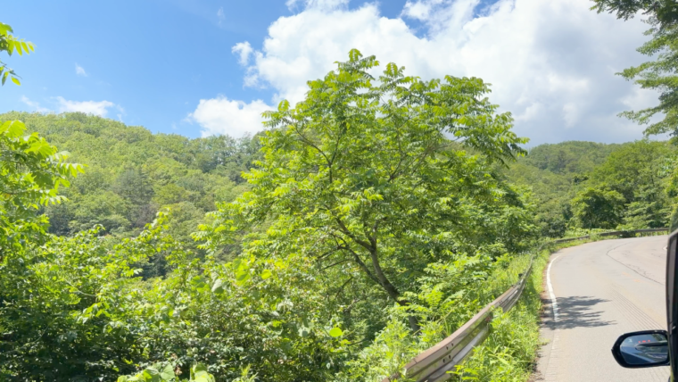 窓から気持ちの良い自然を眺めながら山道をグングン進みます。