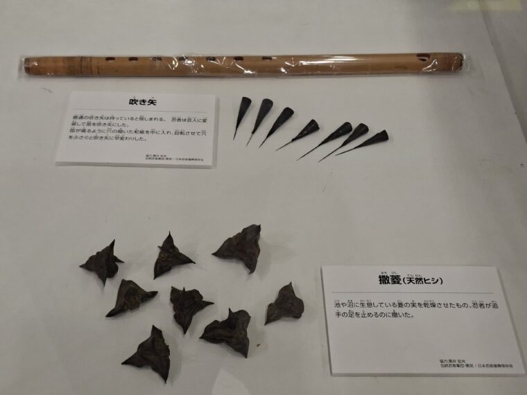 撒菱・吹き矢展示