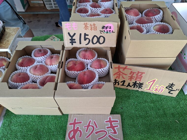 吉井農園直売所