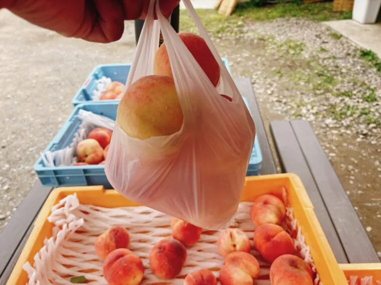 桃詰め放題