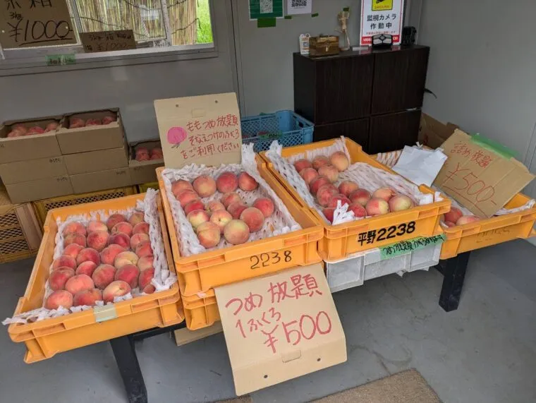 桃詰め放題