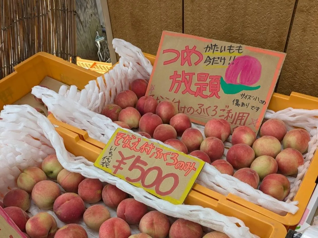 地域の農業を未来へつなぐ。桃の詰め放題で話題沸騰の「吉井農園」