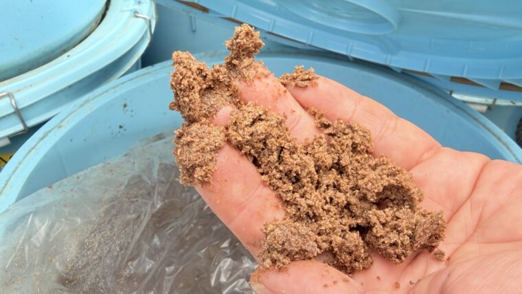 米ぬかに「バナナ水」を混ぜ、発酵中の餌