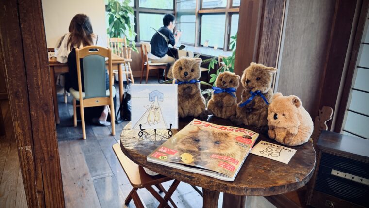 店内のあちらこちらで出会えるクオッカ。人形やイラストを探してみるのも、QUO CAFEでの小さな楽しみ